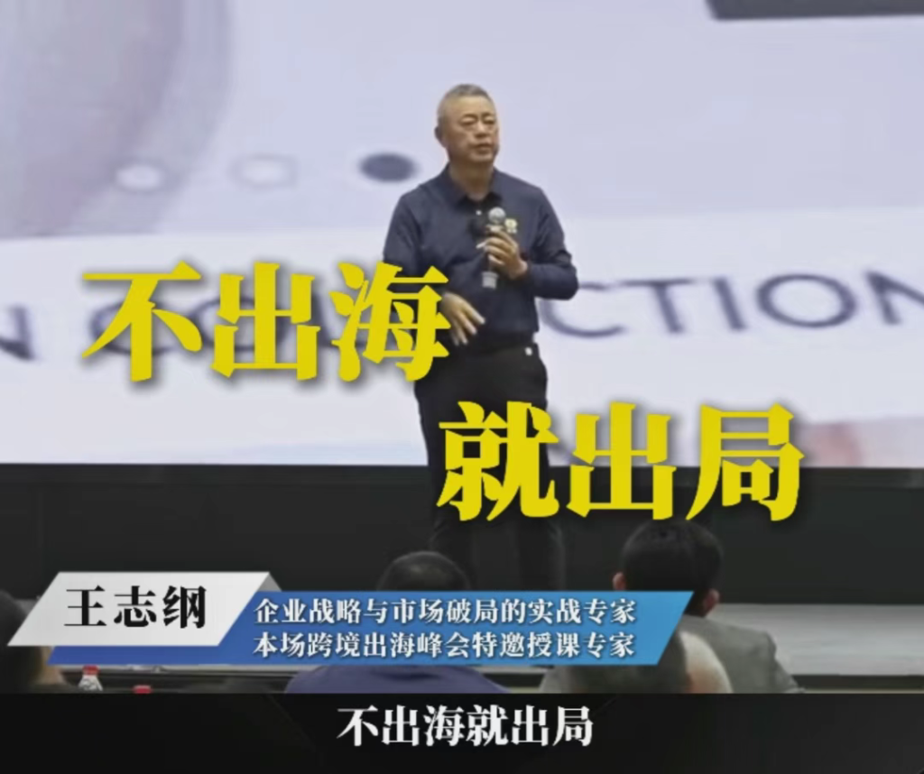 关税降了，但博弈逻辑变了！2025年跨境出海峰会：把我们耽误的时间弥补回来？