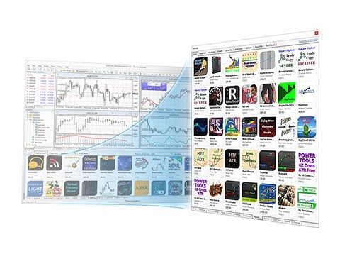 dotbig forex broker reviews