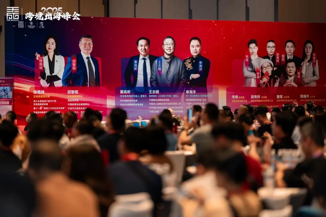 2025 年跨境出海峰会圆满落幕 汇聚全球智慧共启外贸新篇