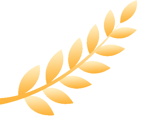 “虹桥惊魂”7年后，我们依然在同一个跑道上“超负荷冲刺”